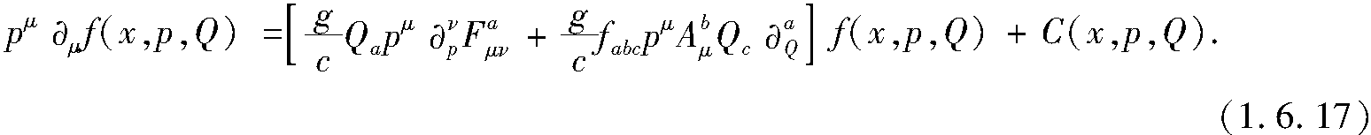 1.6.2 QGP的經(jīng)典動力論方程